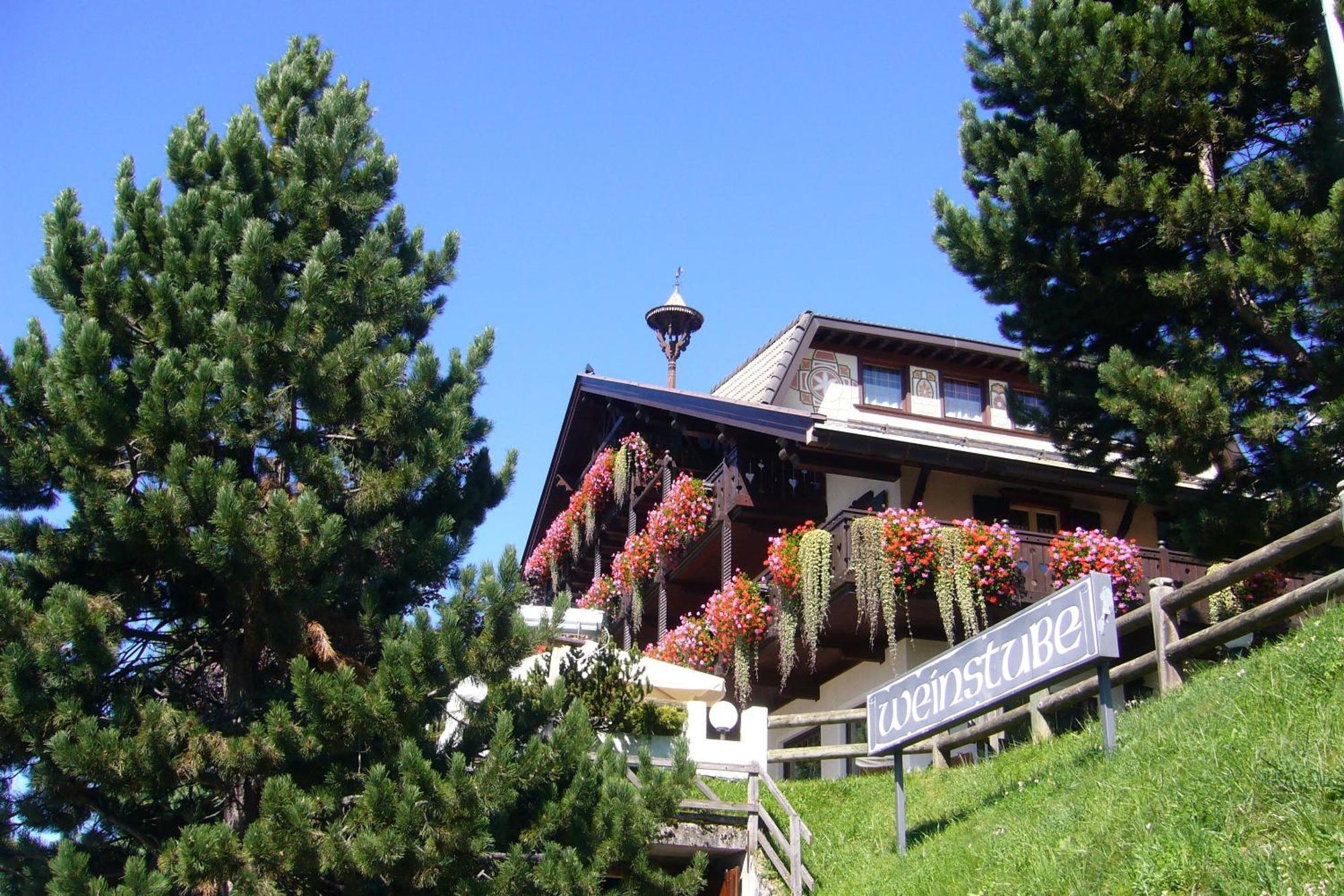 Hotel Villa Wilma Folgaria Exterior photo